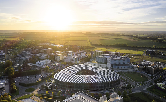 AstraZeneca UK injects £2m into forestry planting in England and Scotland