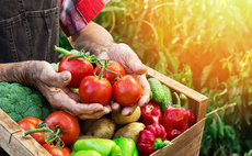 Study: Failure to support sustainable farming undermines UK's food security and net zero goals