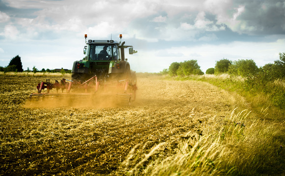UK's post-Brexit farming subsidy plan draws anger from green groups