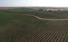 Innocent Drinks touts £1m in regenerative farming supply chain grants