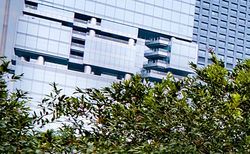 'Keep stepping up': Race to Zero raises the bar for 'net zero' investors, companies, and cities