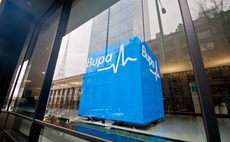 Bupa commits £2m to global urban nature restoration projects