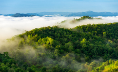 Verra bolsters carbon offset standard with new labels and updated safeguards