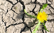 Drought warnings: Water firms face fresh calls to crack down on leaks