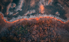 Carbon credit insurer Kita to offer replacement CO2 credits