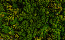 Verra announces new REDD methodology for protecting forests
