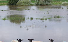 Are alternative proteins a solution to Britain's food security challenges?