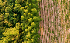 CDP: Just 64 firms eliminated deforestation from at least one supply chain in 2023