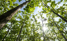 'The timeline is too long': SBTI urged to confirm offsetting guidance for corporate supply chains this year