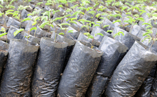 Carbon removal: The importance of nature-based solutions