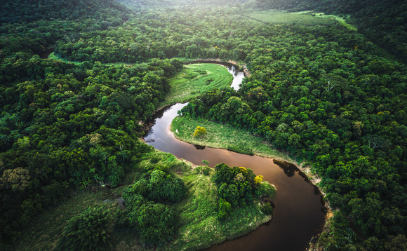 Timberland Investment Group plots $1bn reforestation investment in Latin America
