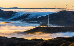 Study: Major firms may be performing worse than they think against net zero goals