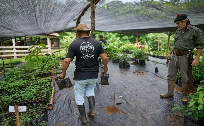 The ARC project nursery is larger than a football field and will accommodate over one million saplings / Source: Ponterra/Allison The ARC project nursery is larger than a football field and will accommodate over one million saplings / Source: Ponterra/Allison