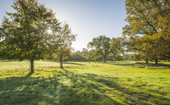 UK landowners join pact to boost nature-based climate efforts