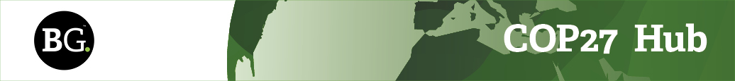 Cop 27 hubribbon.jpg