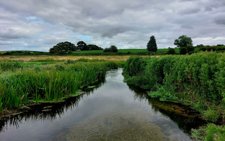 Bakery business Baker & Baker to support East Anglia water stewardship programme